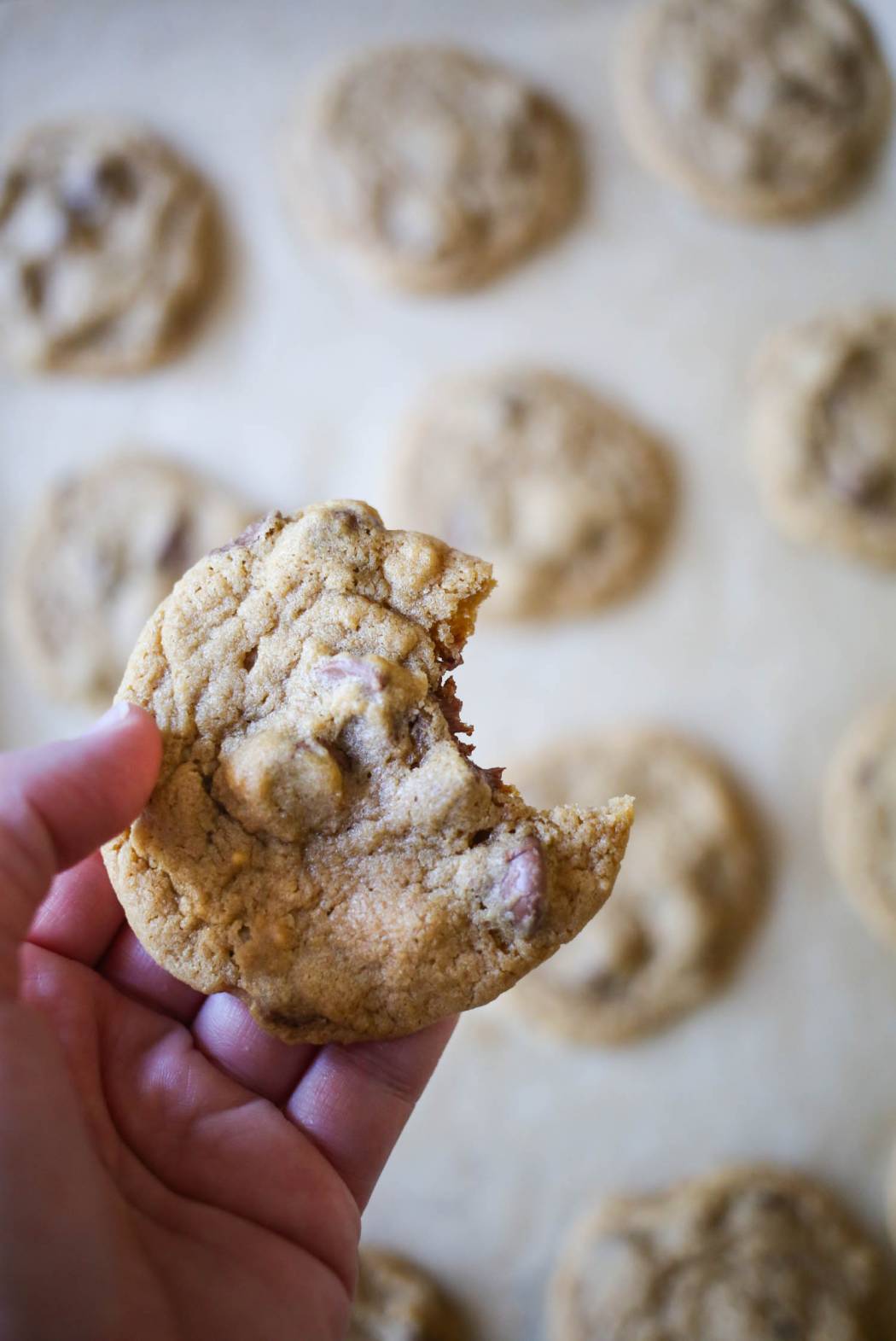 the ultimate classic chocolate chip cookies from our best bites