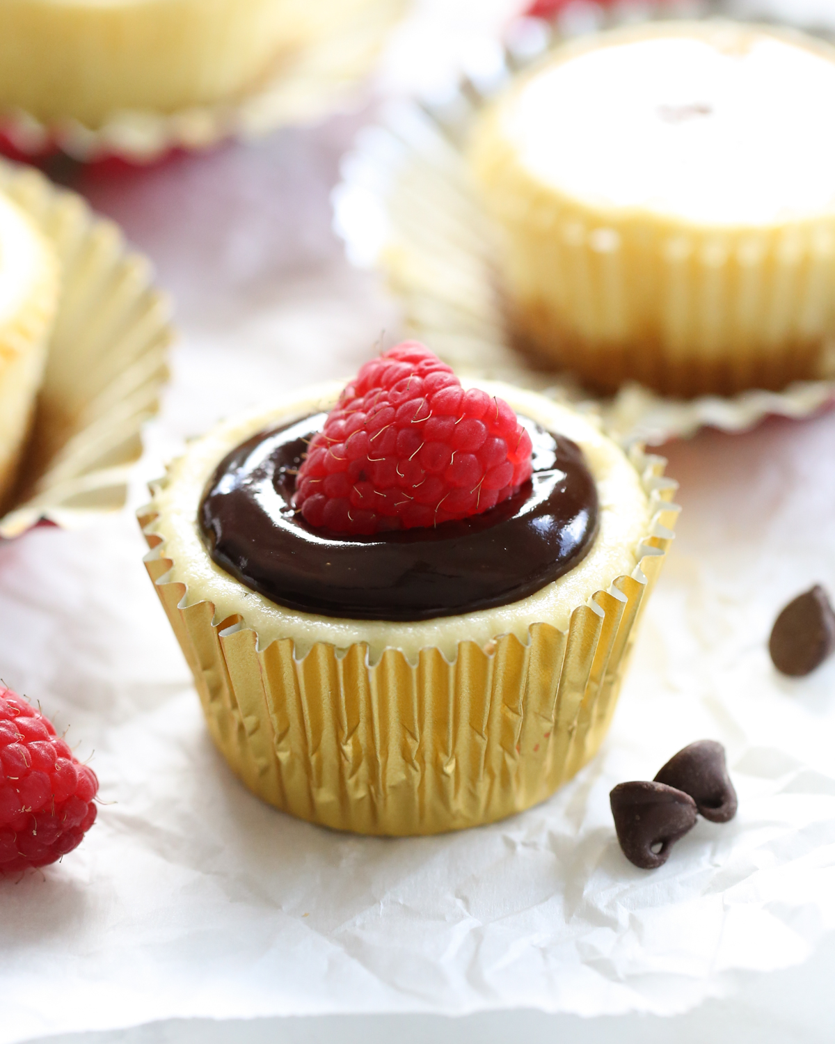 mini cheesecakes topped with chocolate and raspberry