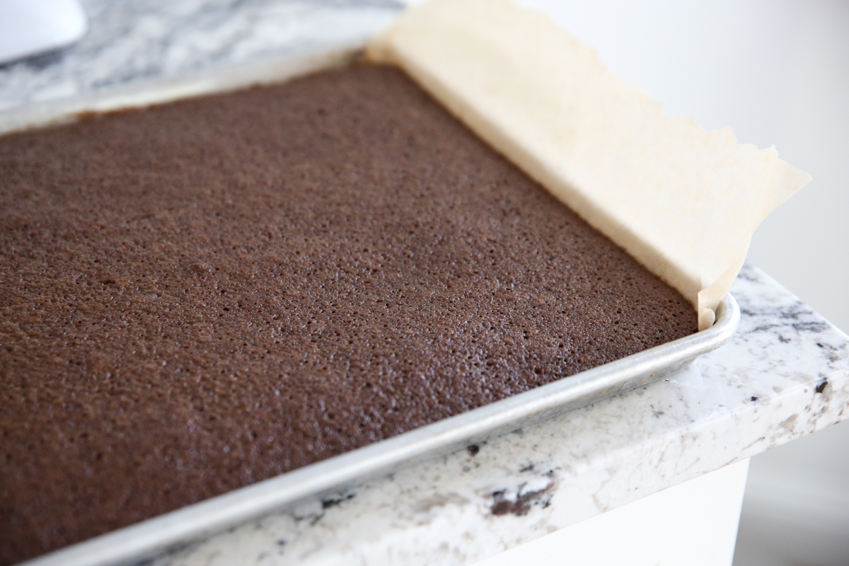 baked chocolate cake in pan
