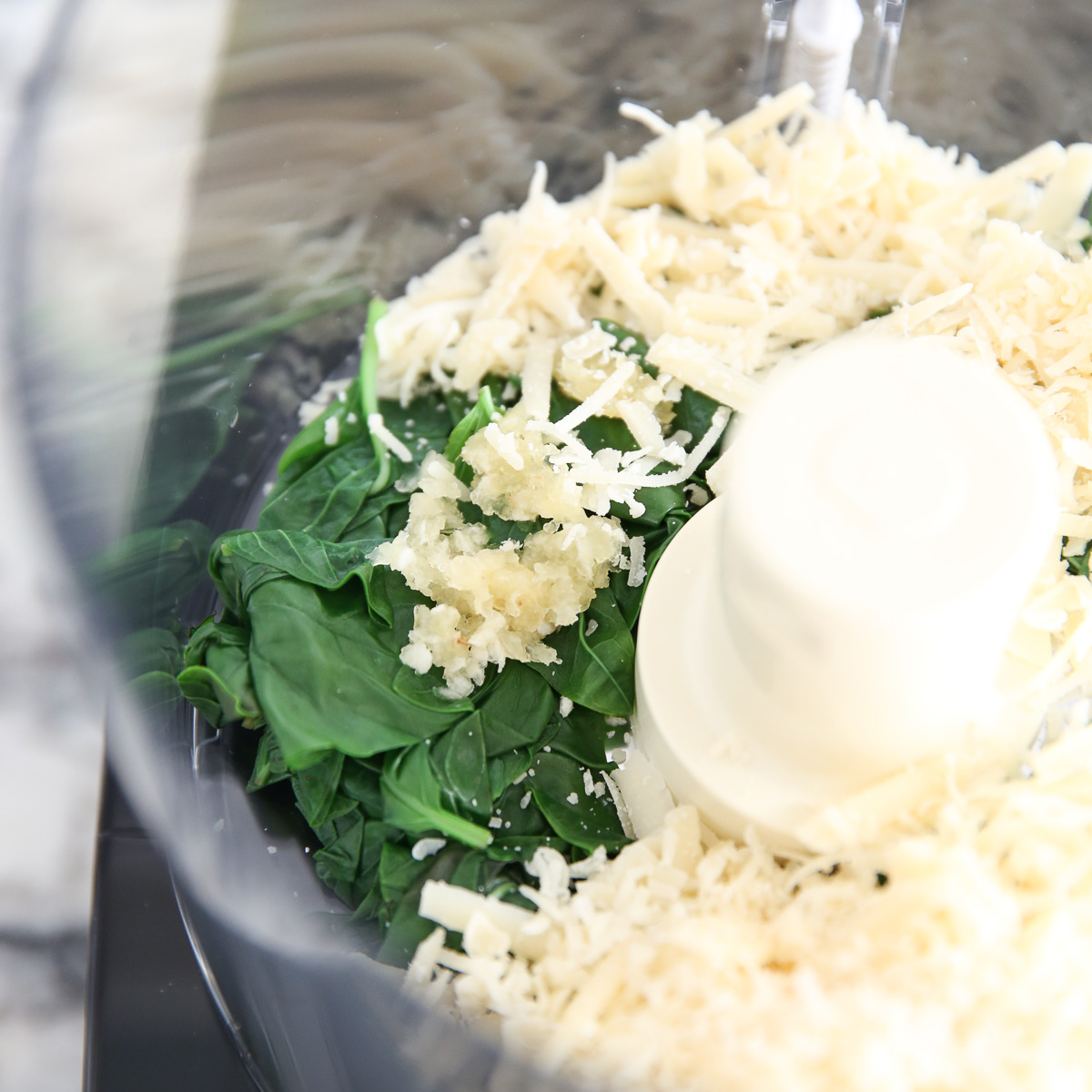 pesto ingredients in food processor