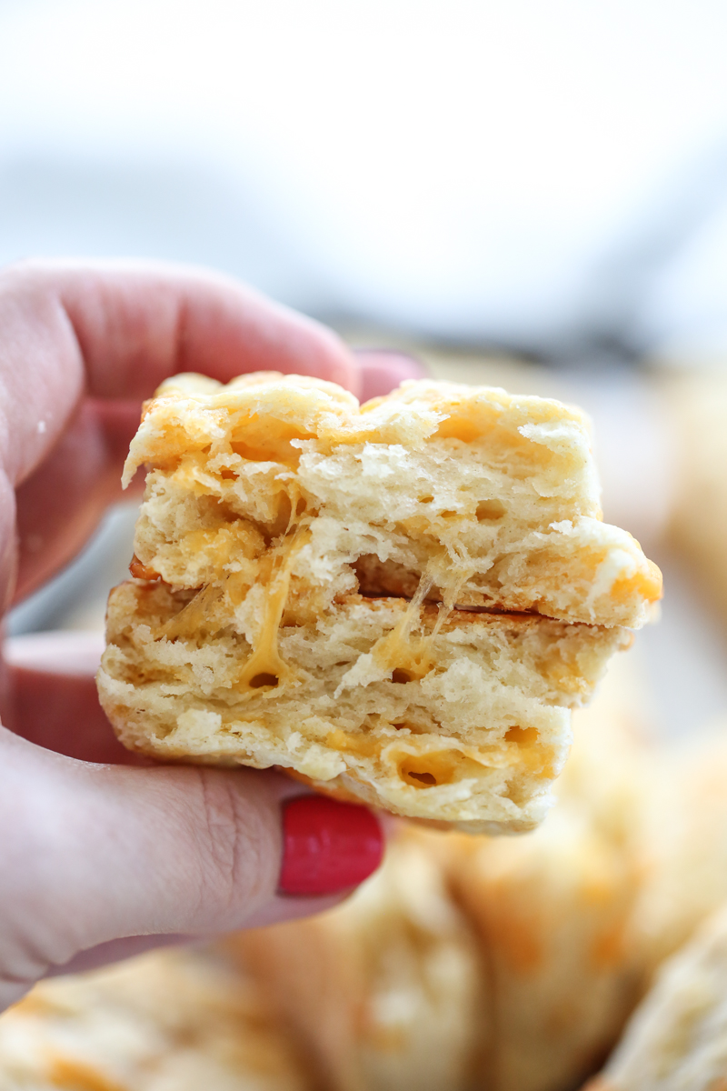 Buttermilk Cheddar cut in half