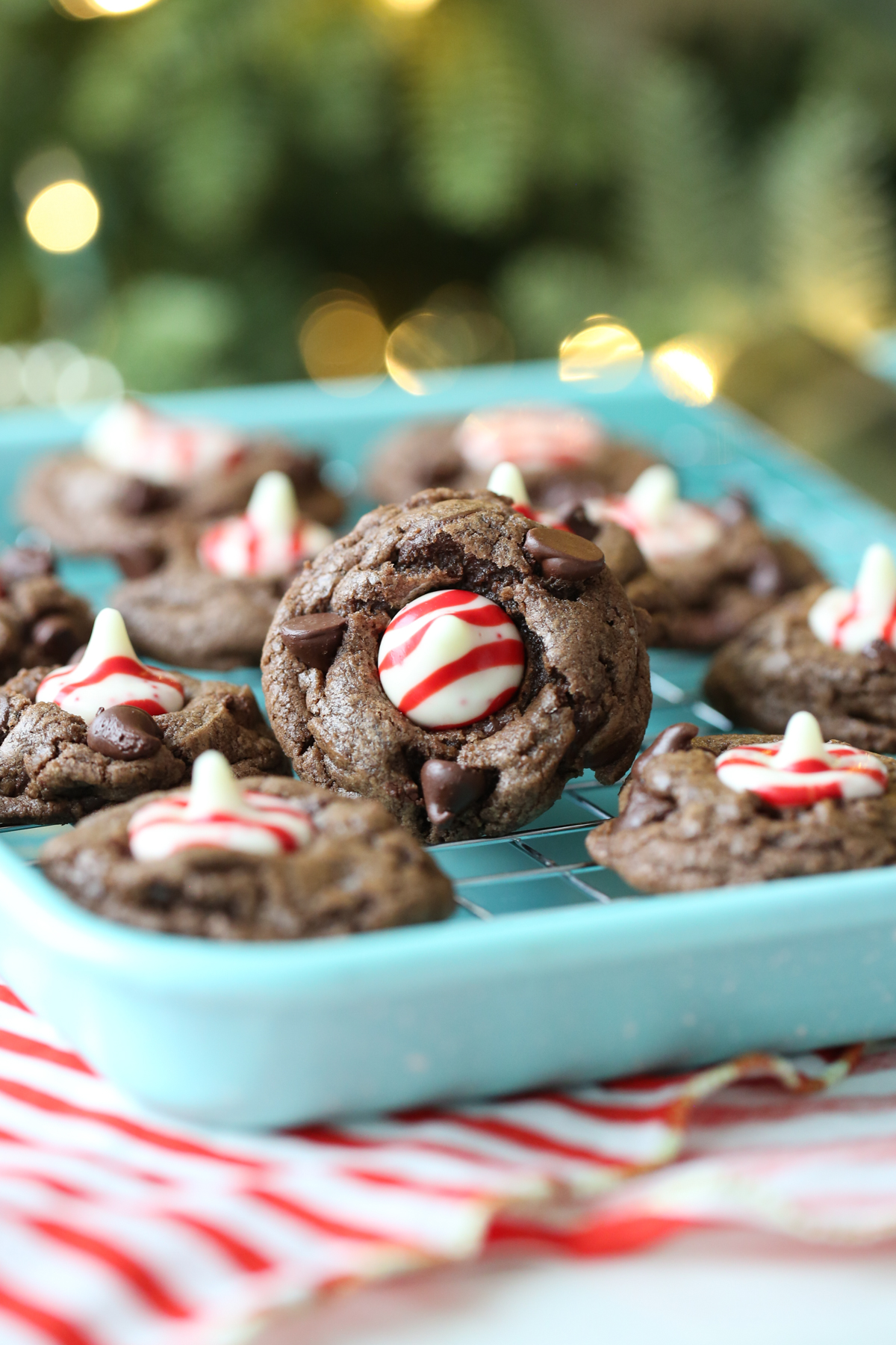 chocolate candy cane kiss cookies on a tray
