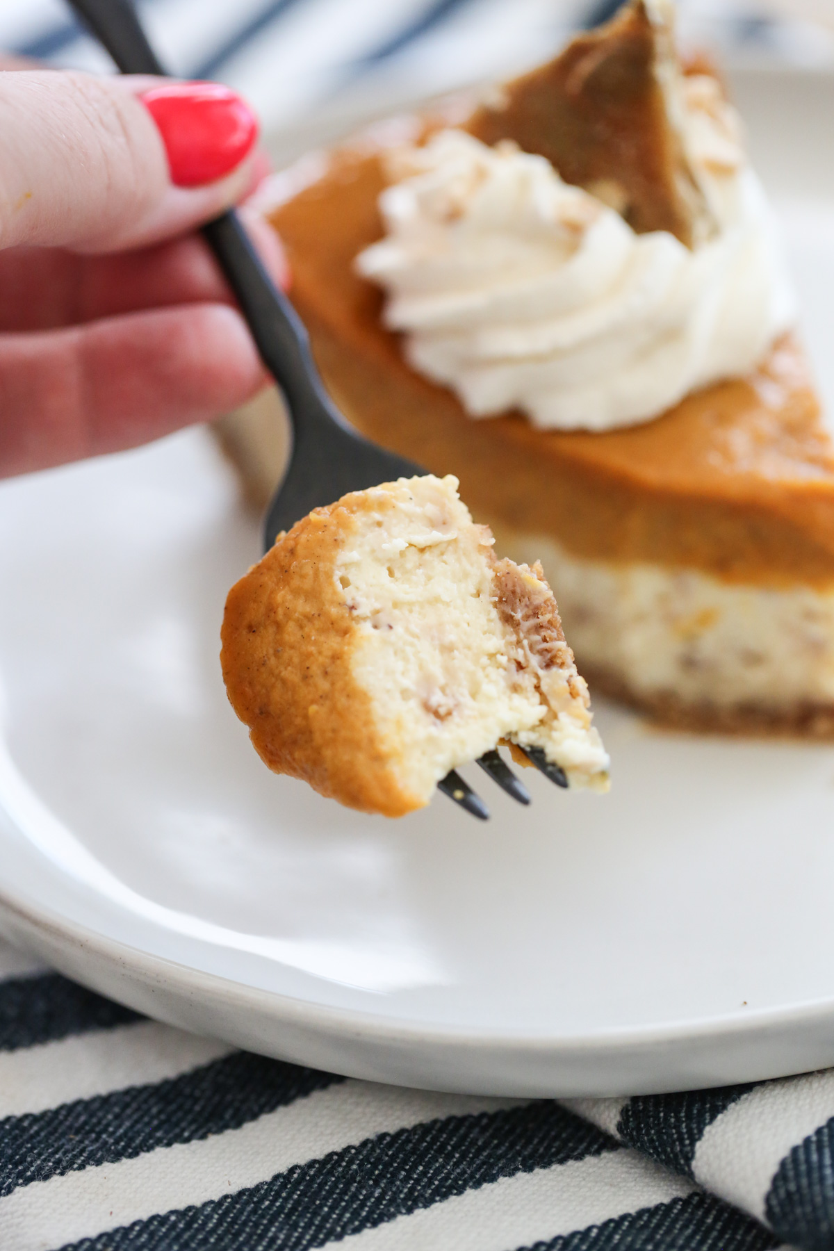 bite of layered pumpkin pie cheesecake