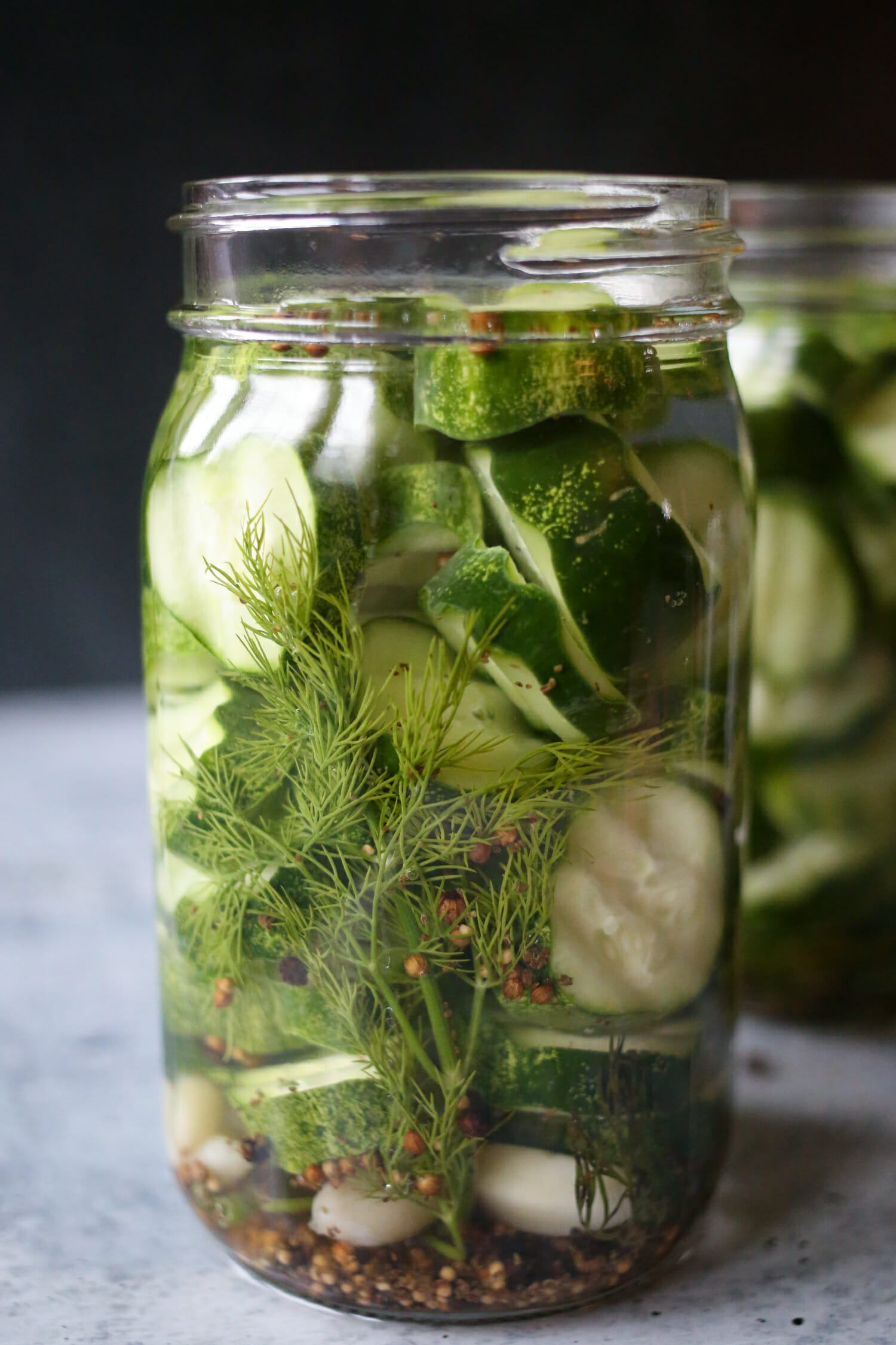 refrigerator pickles from our best bites