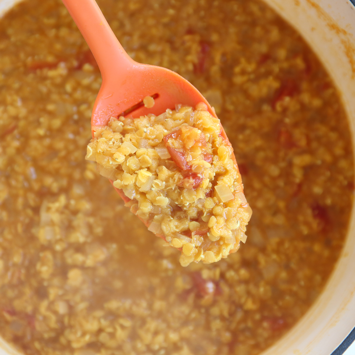 cooked red lentils