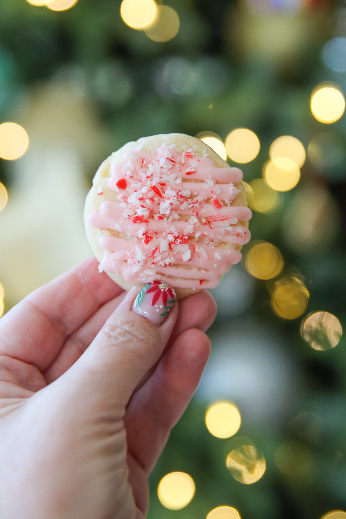 Peppermint Meltaway cookie being held up in front of twinkling lights
