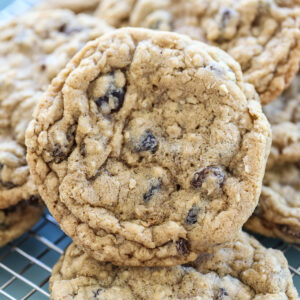 oatmeal cookie close up