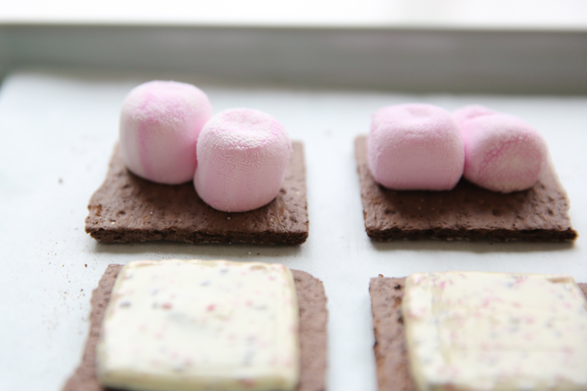 chocolate graham crackers with peppermint marshmallows