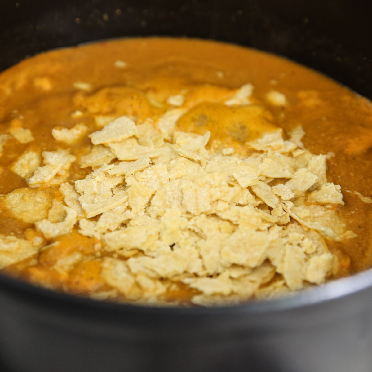 tortilla strips in pureed soup