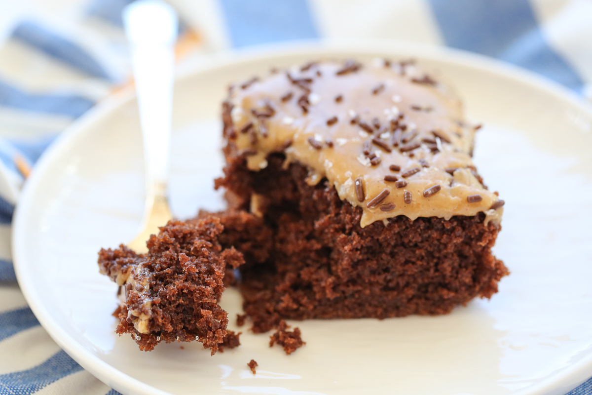 slice of chocolate cake with peanut butter frosting and sprinkles on top