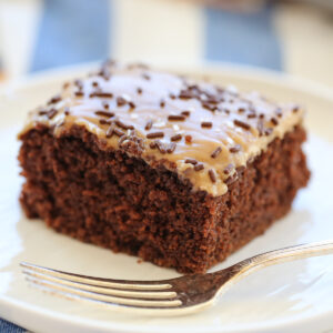 slice of chocolate cake with peanut butter frosting and sprinkles on top