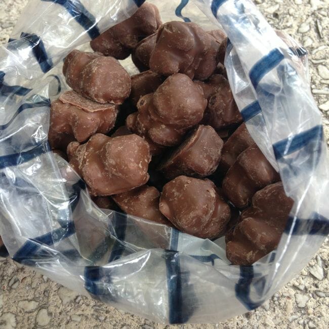 chocolate covered cinnamon bears