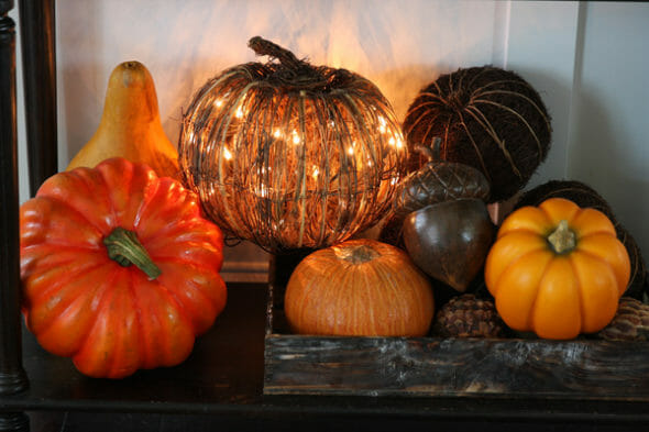 Our Best Bites_Halloween Gourds