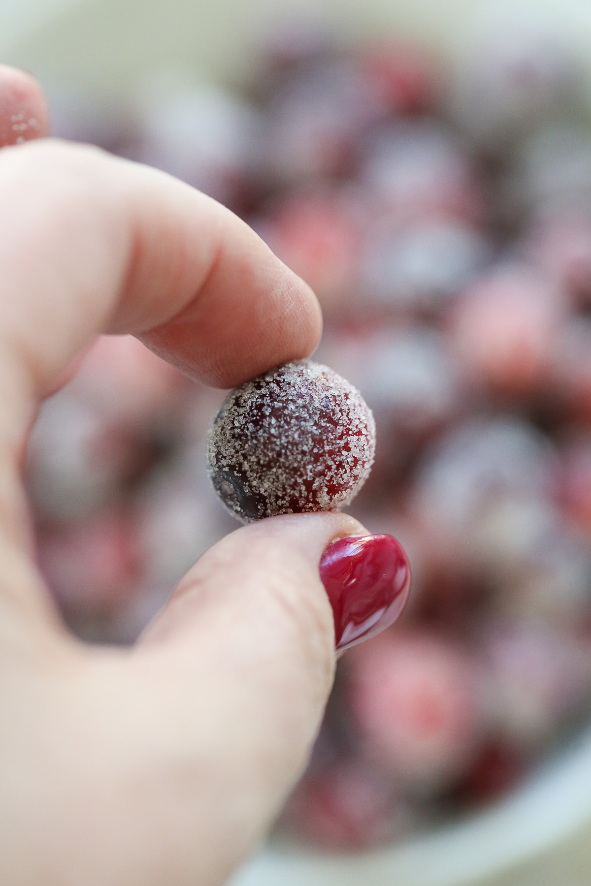 hand holding a cranberry covered in sugar