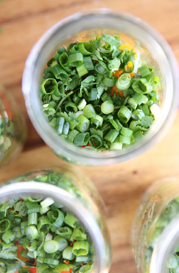 Chopped Green Onions and Cilantro