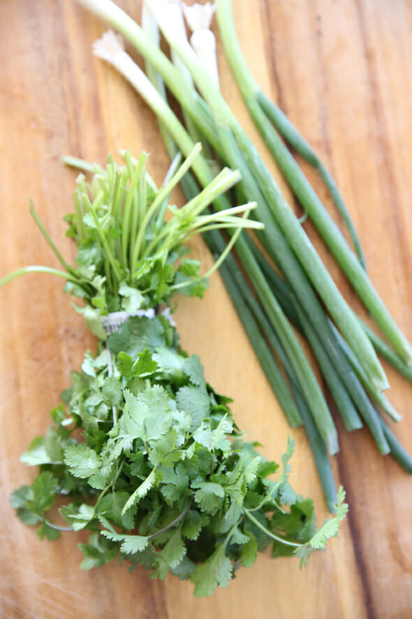 Cilantro and Green Onions