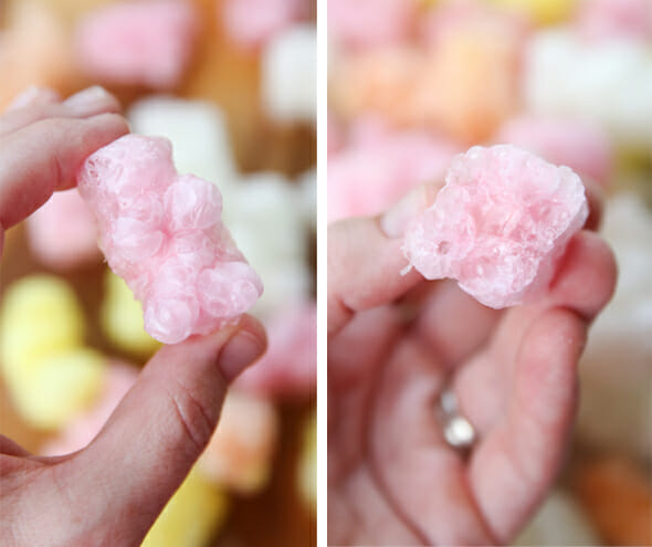 Freeze Dried Gummy Bears