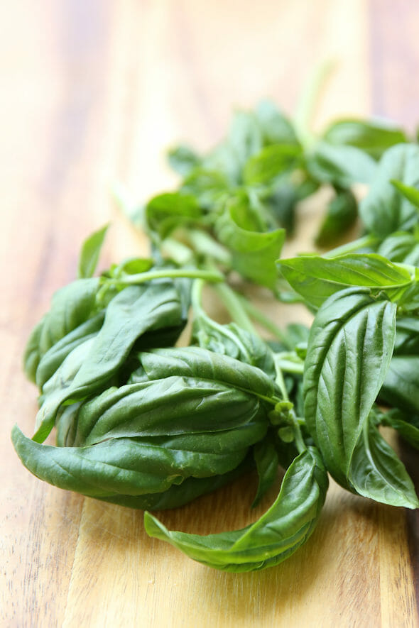 Fresh Basil