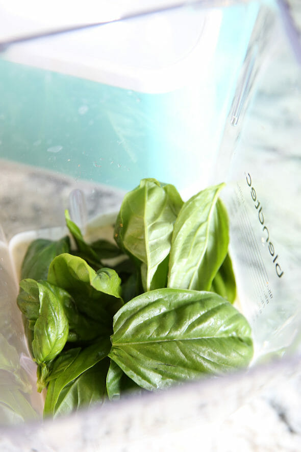 Fresh Basil in Blender