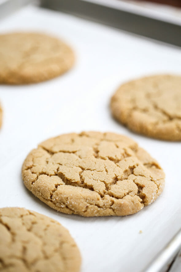 Chocolate dipped peanut butter cookies-10