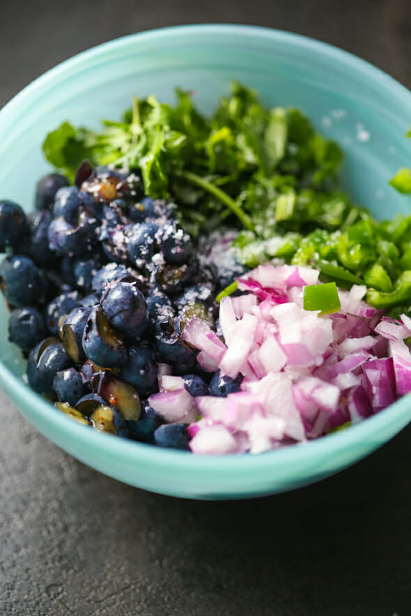 Blueberry Salsa-3