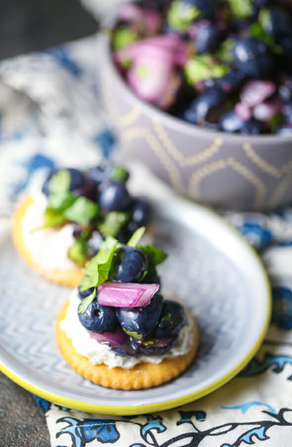 Blueberry Salsa from Our Best Bites