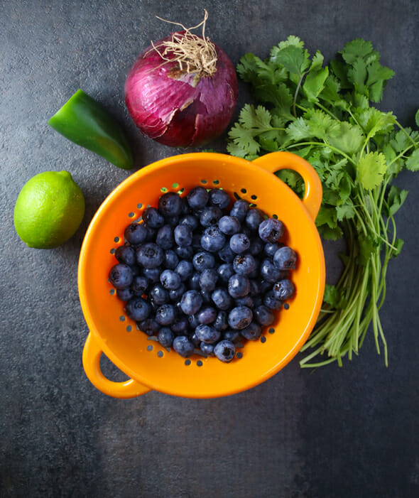 Blueberry Salsa