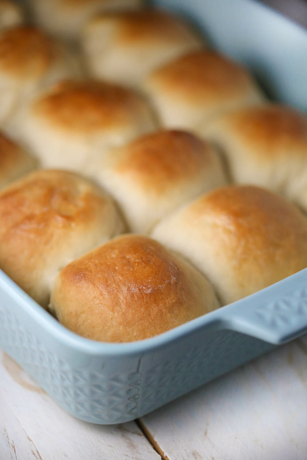 amish potato rolls