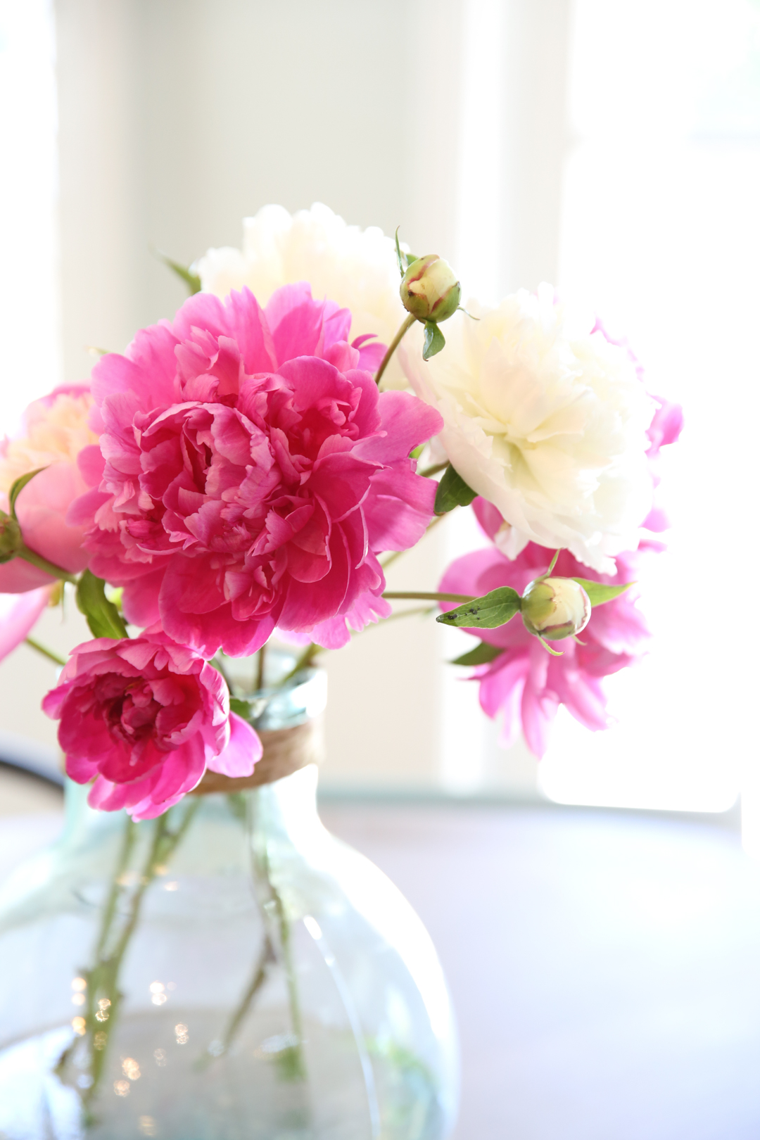 Fully Bloomed Peonies