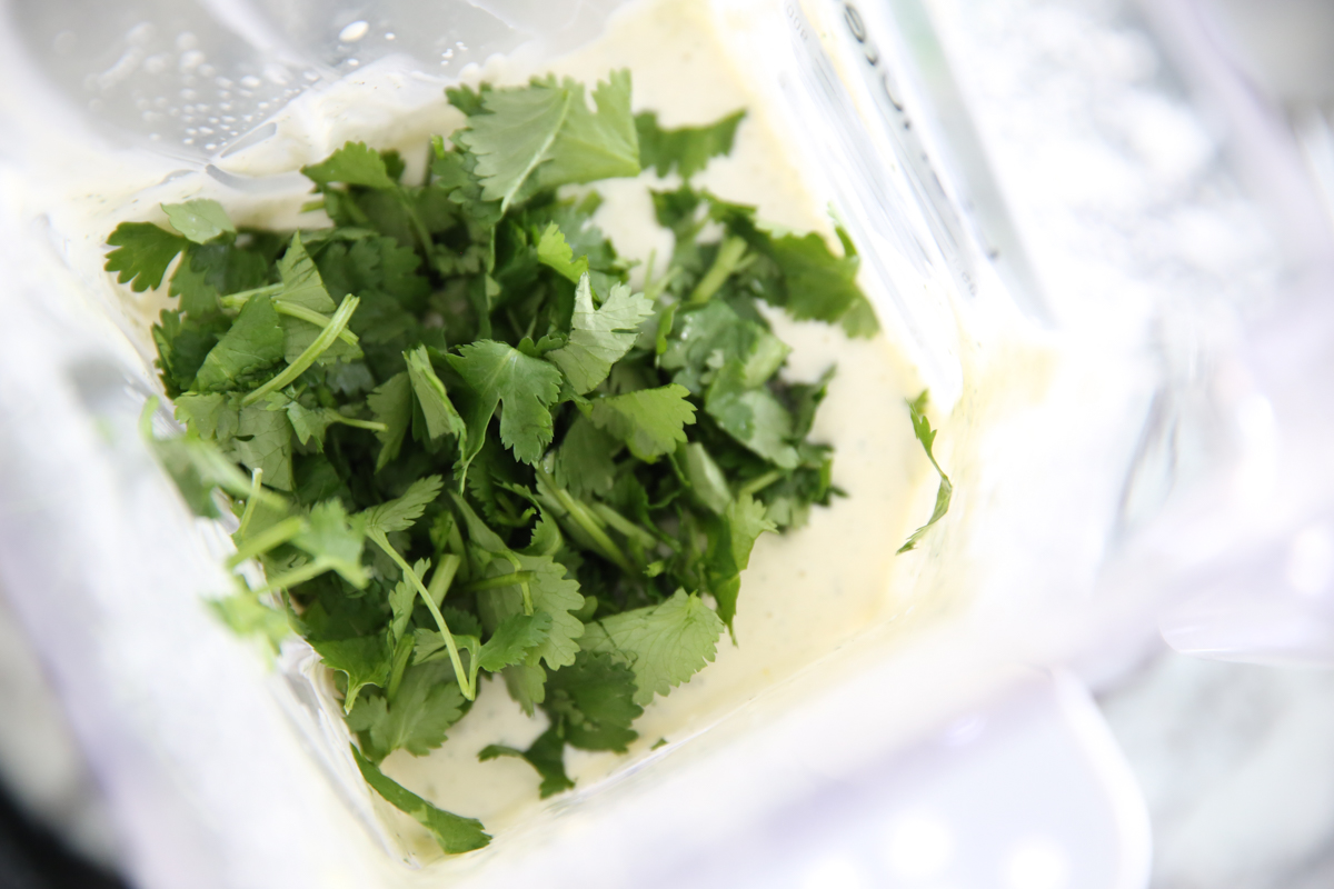cilantro in blender