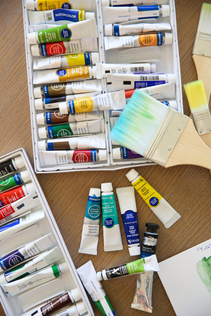 paint brushes and paint