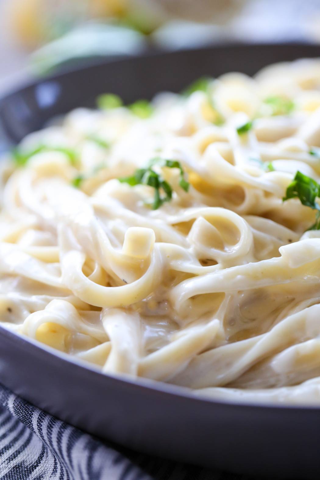 Alfredo Pasta in Bowl