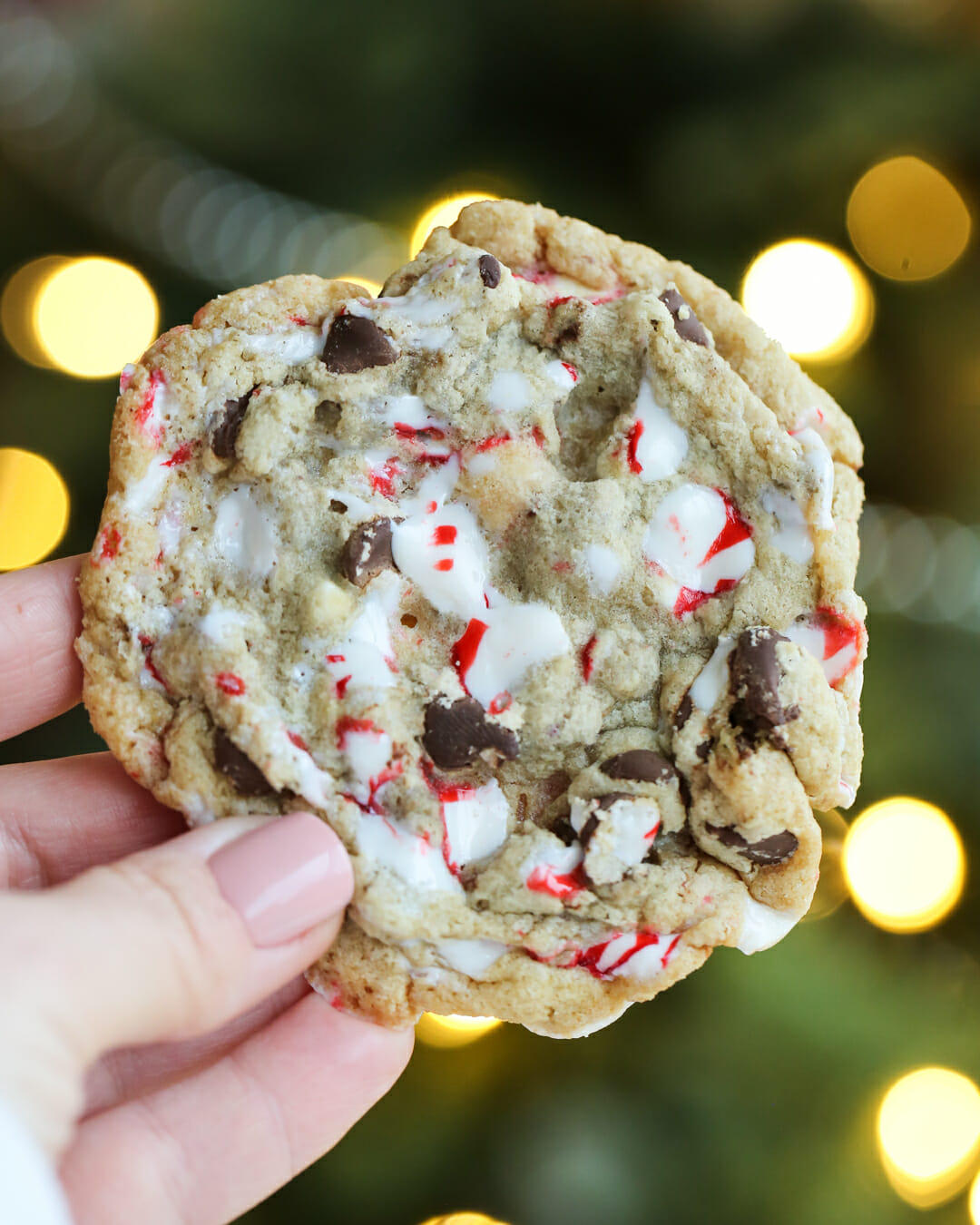 Peppermint Candy Cane Cookies