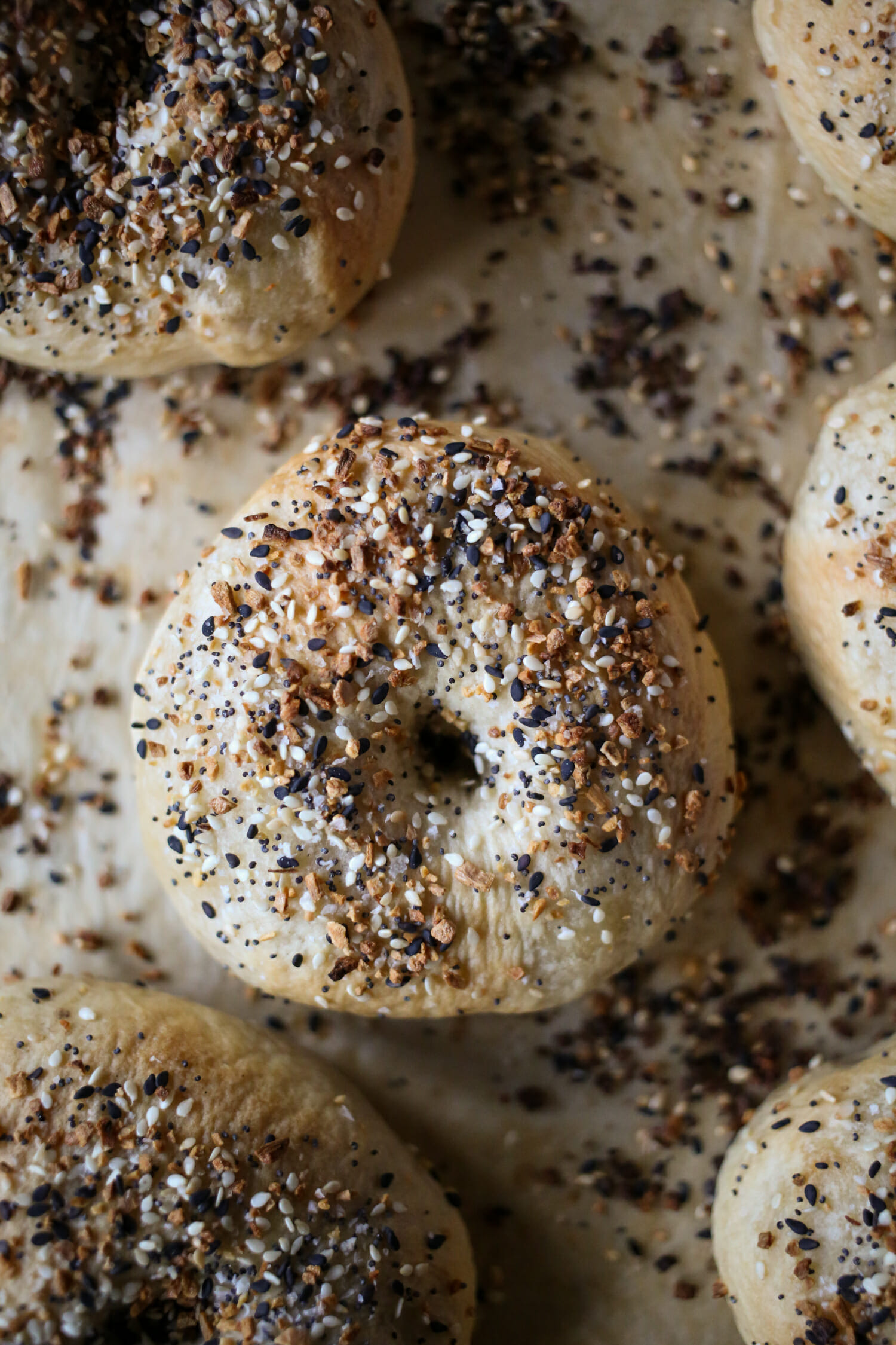 new york style bagels