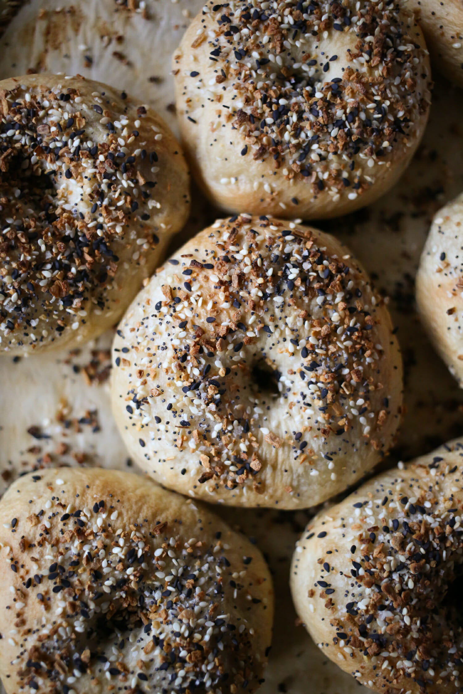 new york style bagels