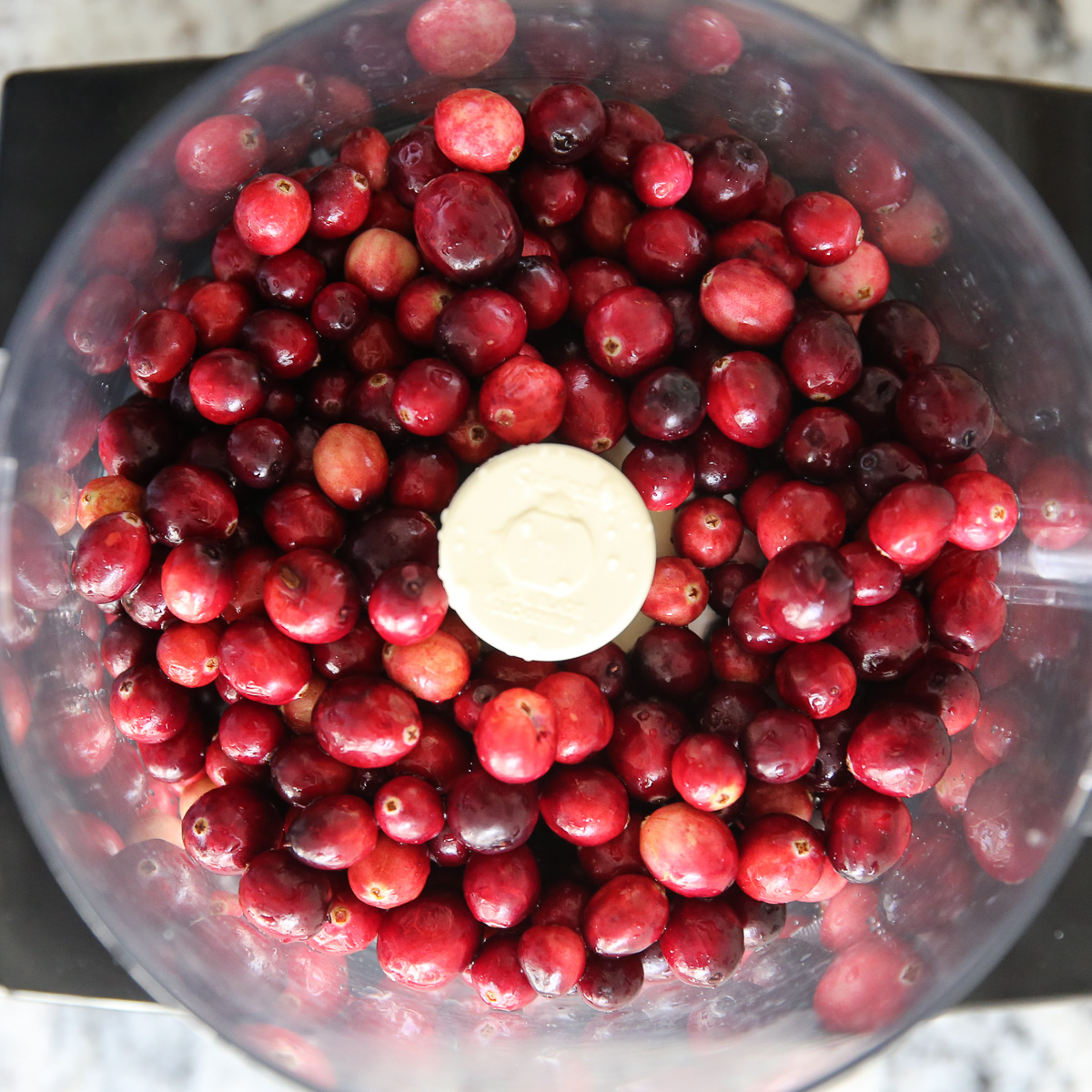 cranberries in a food processor