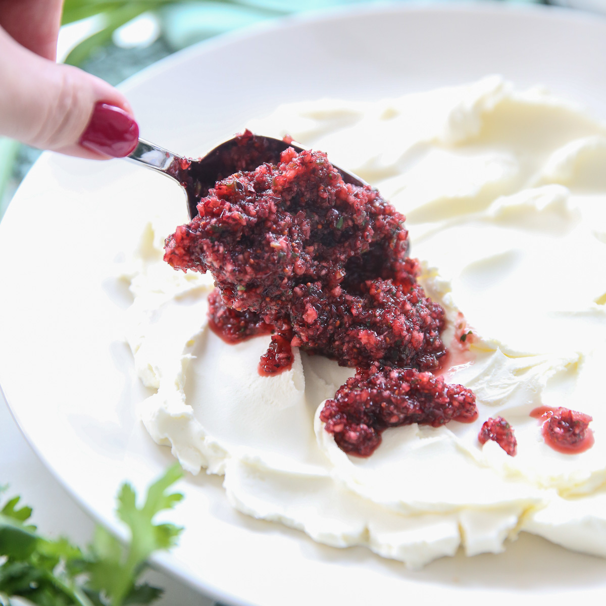 cranberry salsa over cream cheese on a white plate