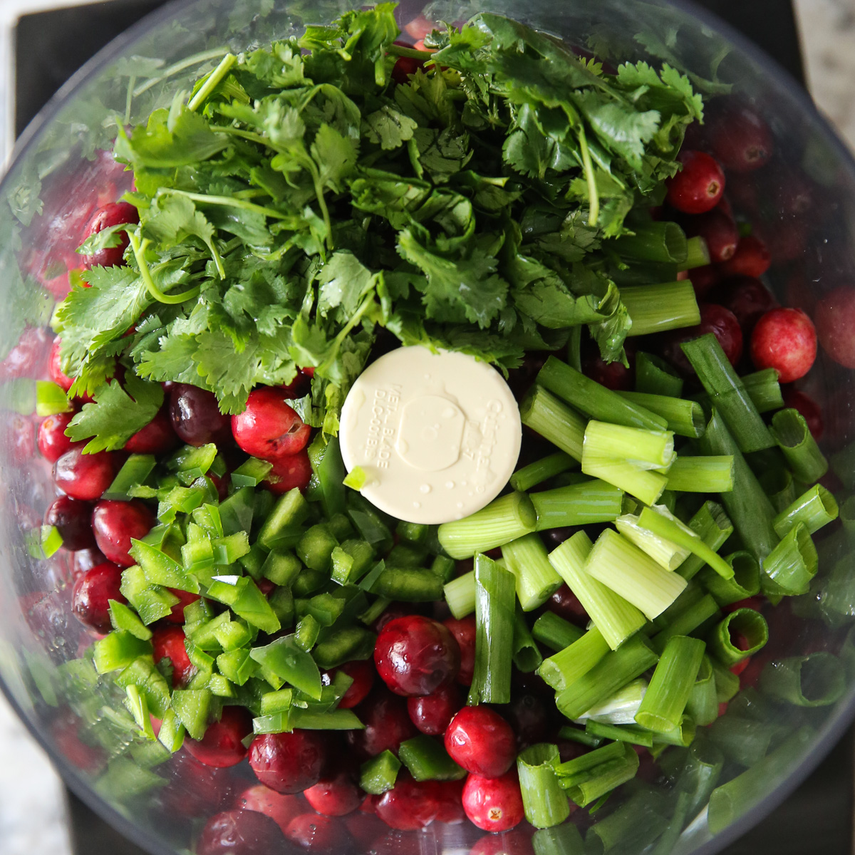cranberry salsa in a food processor