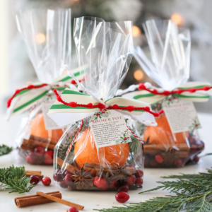 Stovetop Simmer Pot Gifts by Our Best Bites