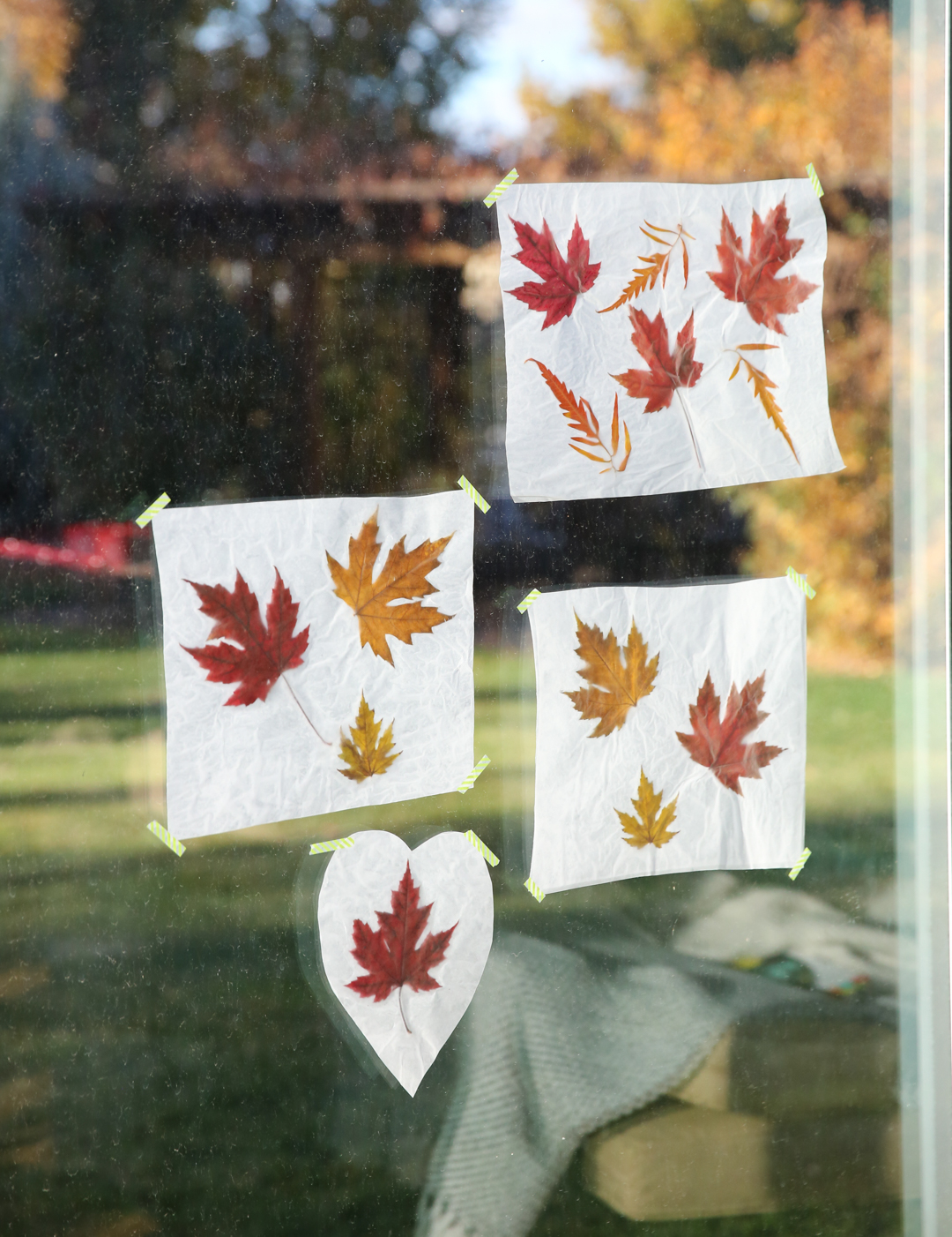 fall leaves on wax paper craft