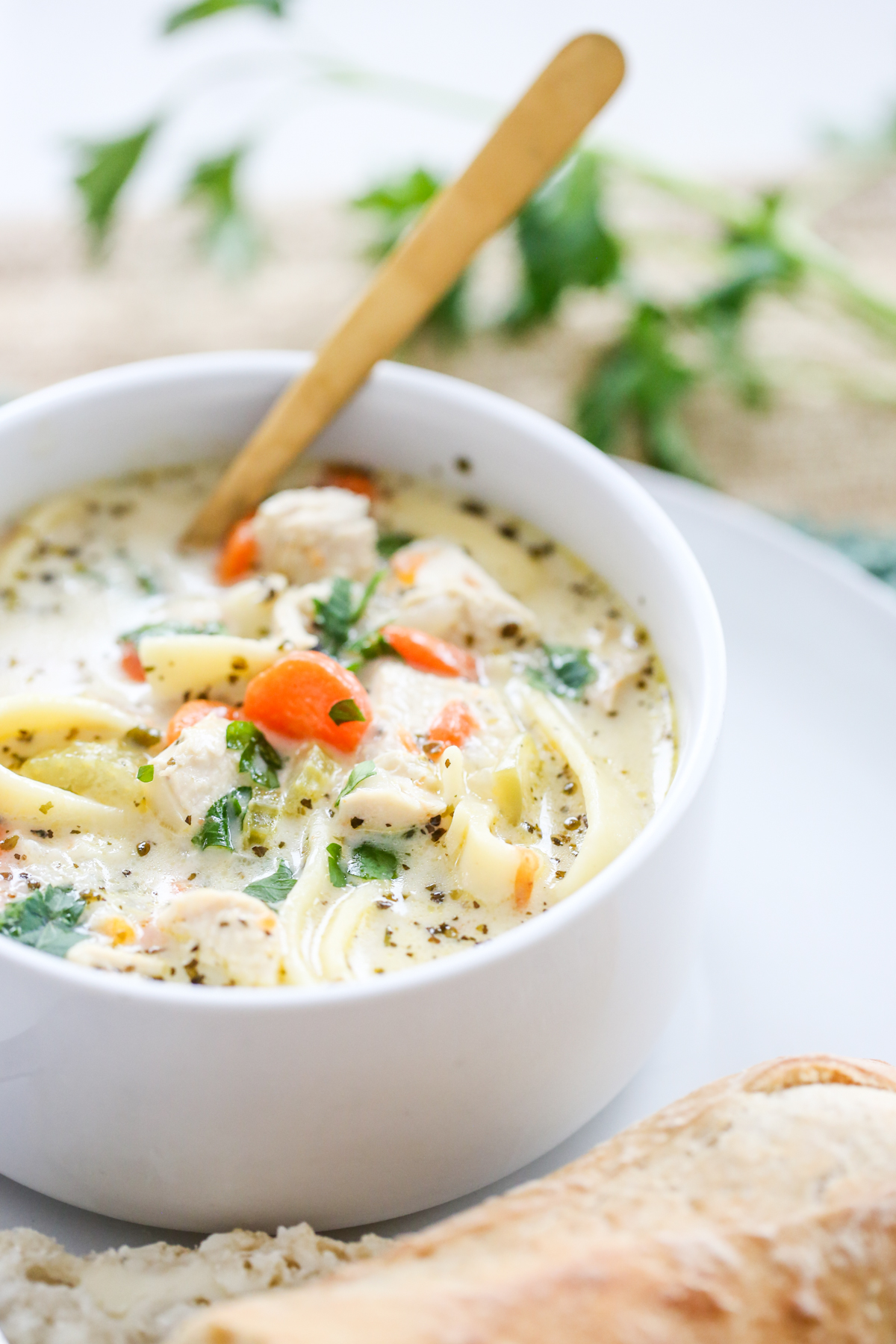 Chicken Noodle Soup recipe in a bowl