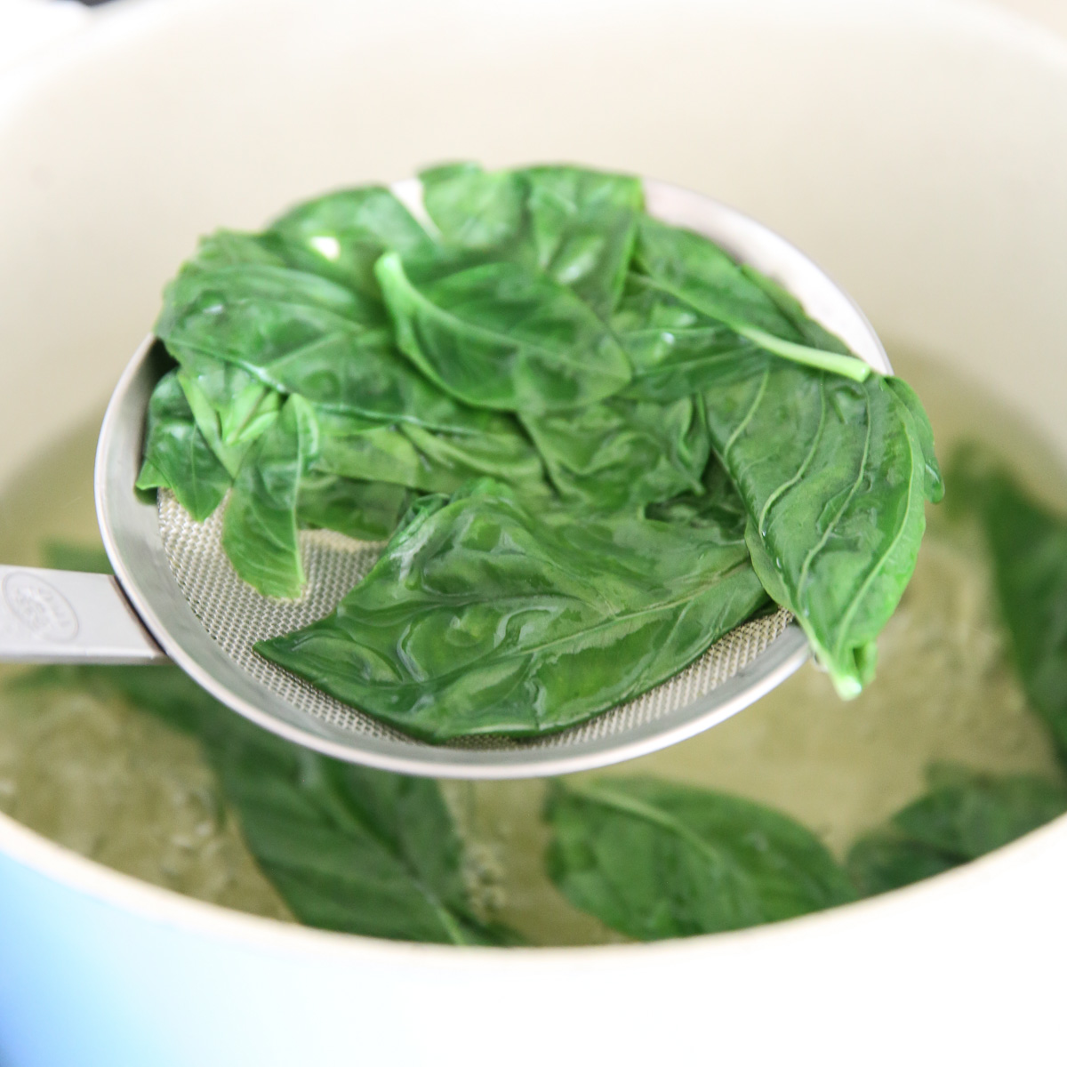 Draining basil 