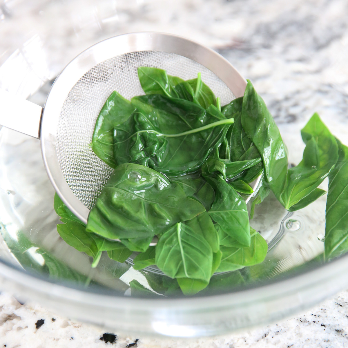 basil being placed in a bowl of cold water