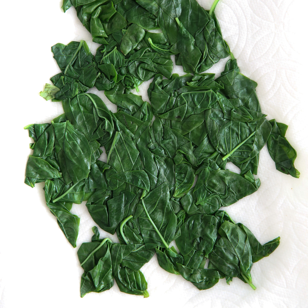 fresh pesto after blanching