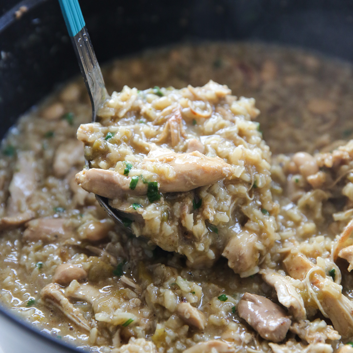 scooping up chicken stew with a ladel