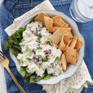 bowl of chicken salad with pita chips