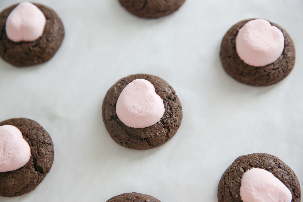 marshmallows on top of chocolate cookies